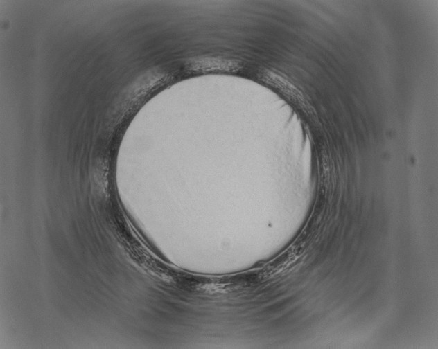 X0000067850255200605111715