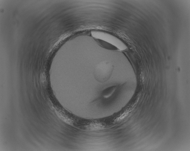 X0000067850256200605111715