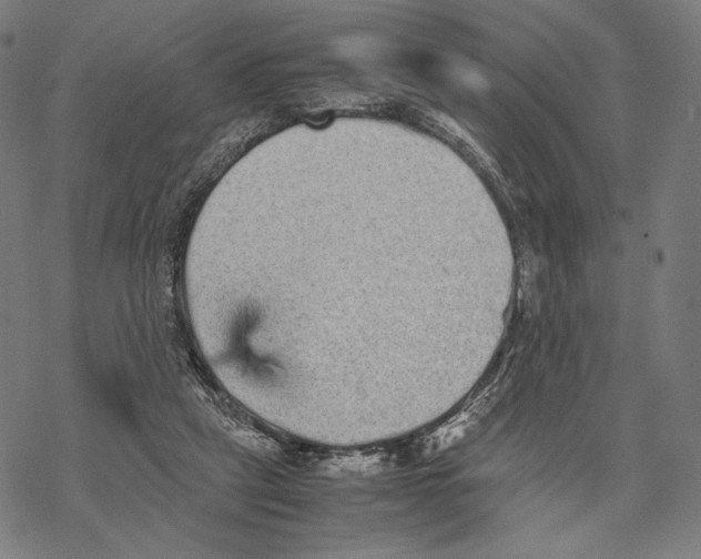 X0000067850257200605111715