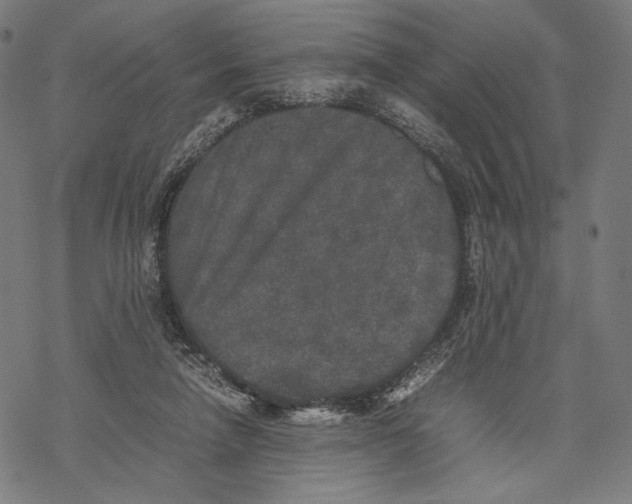 X0000067850258200605111715