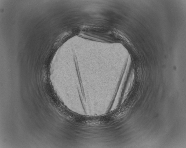 X0000067850259200605111715