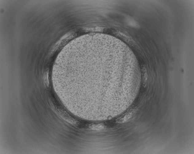 X0000067850262200605111715