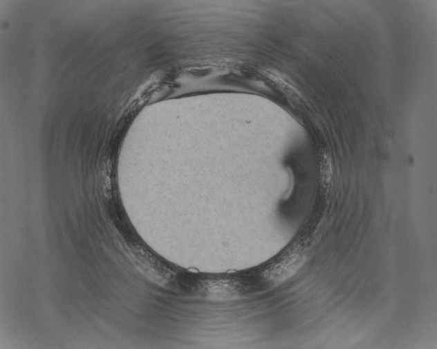 X0000067850264200605111715