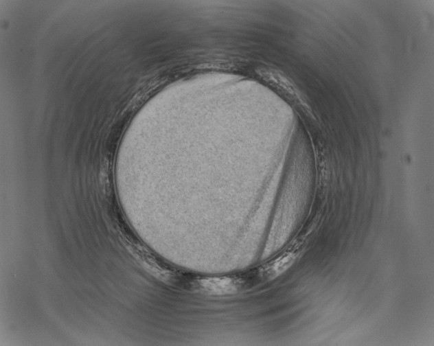 X0000067850265200605111715