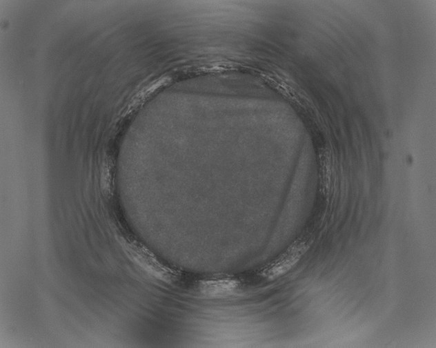 X0000067850266200605111715