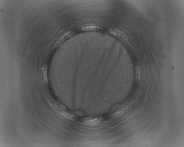 X0000067850267200605111715