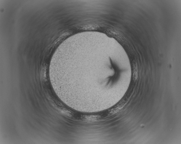 X0000067850268200605111716