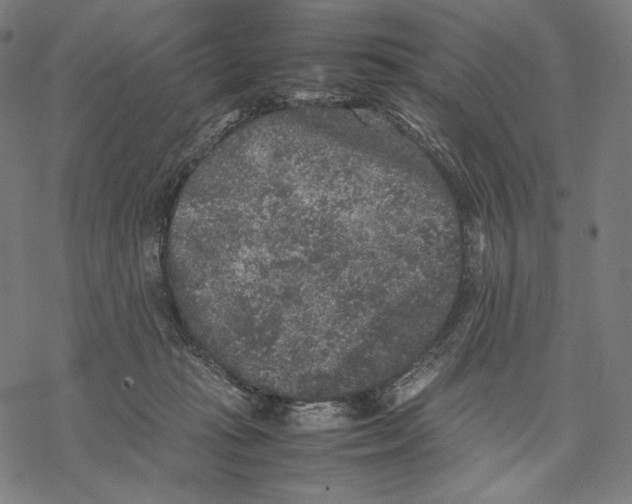 X0000067850269200605111716