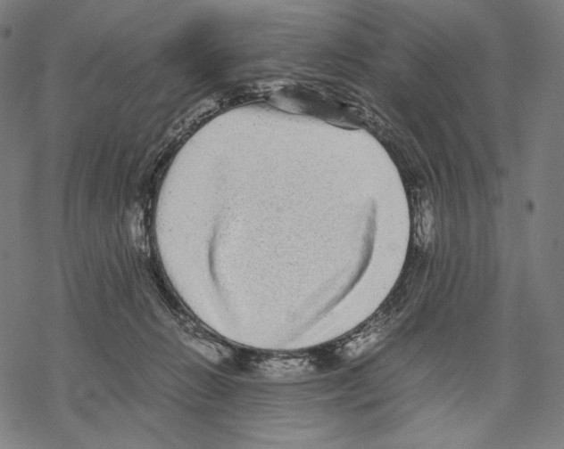 X0000067850270200605111716