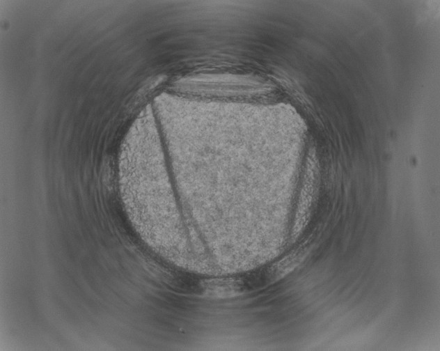 X0000067850273200605111716