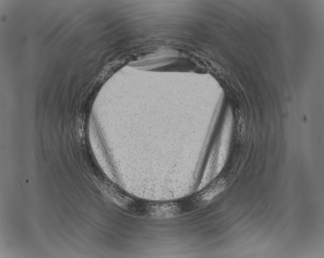 X0000067850274200605111716