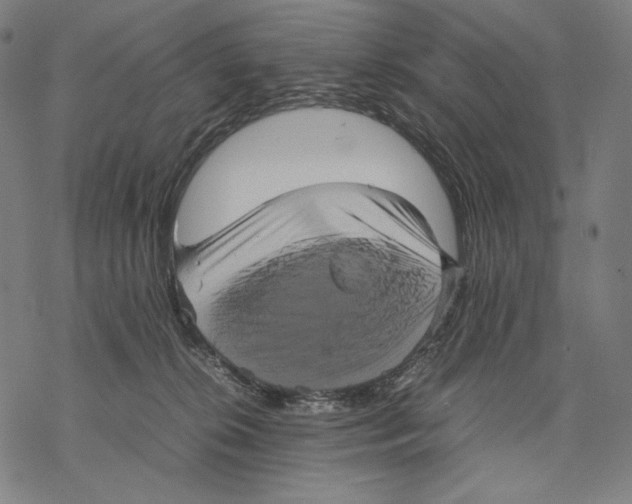 X0000067850276200605111716