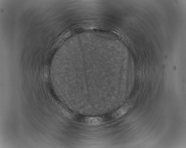 X0000067850277200605111716