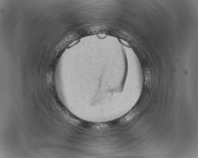 X0000067850278200605111716