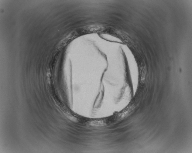 X0000067850279200605111716