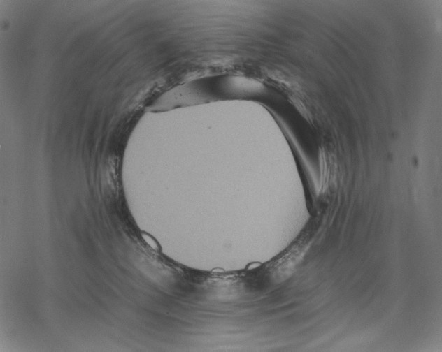 X0000067850280200605111716