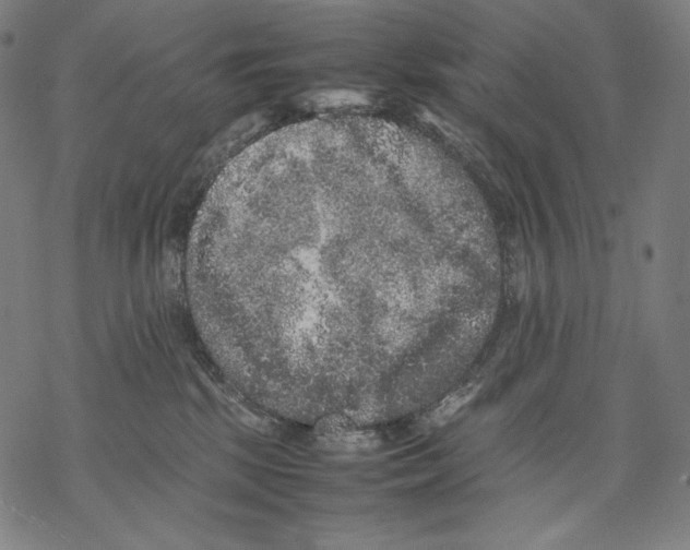 X0000067850281200605111716