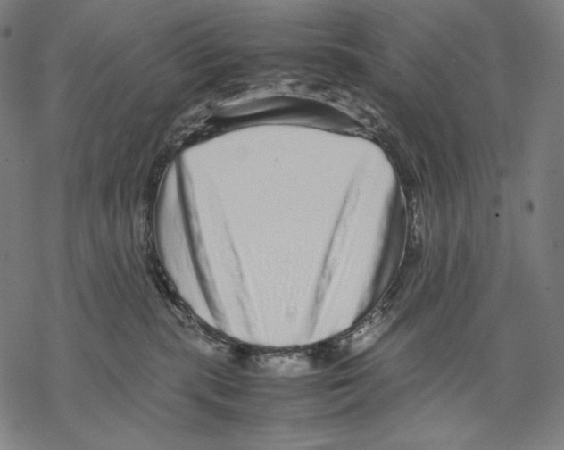 X0000067850283200605111716