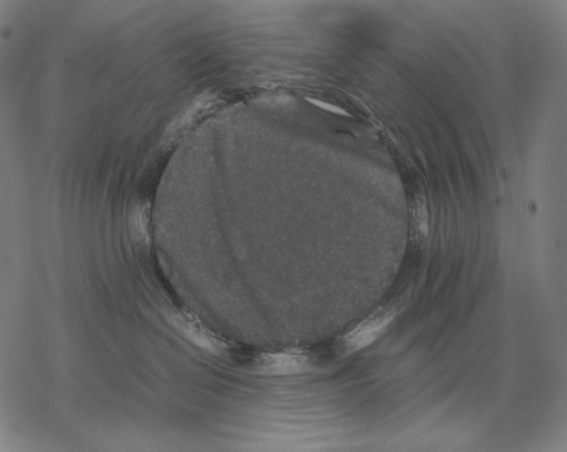 X0000067850286200605111716