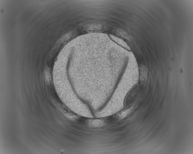 X0000067850287200605111716