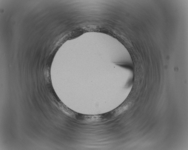 X0000067850288200605111716