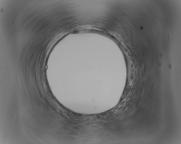 X0000067850289200605111715