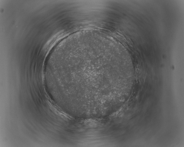 X0000067850290200605111715