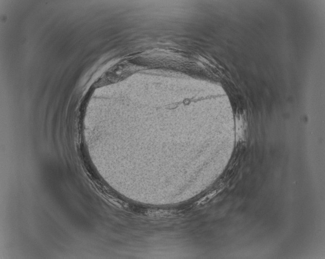 X0000067850291200605111715