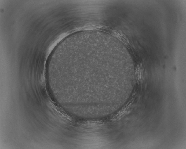 X0000067850292200605111715