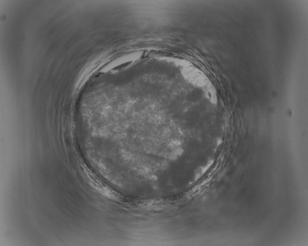 X0000067850293200605111715