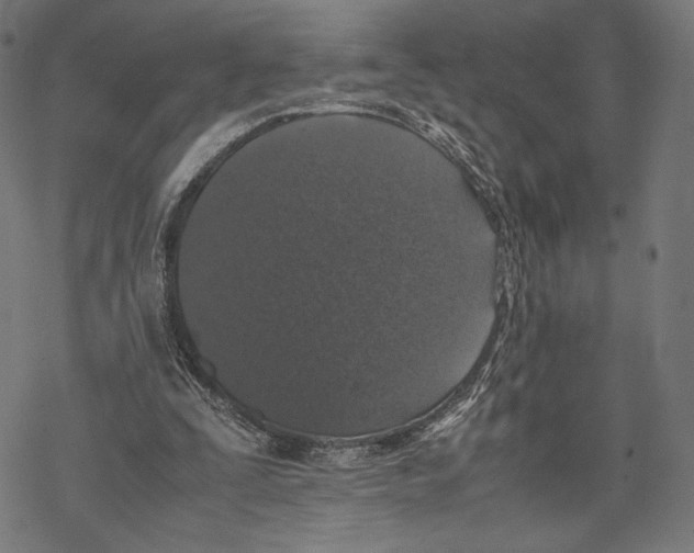 X0000067850295200605111715