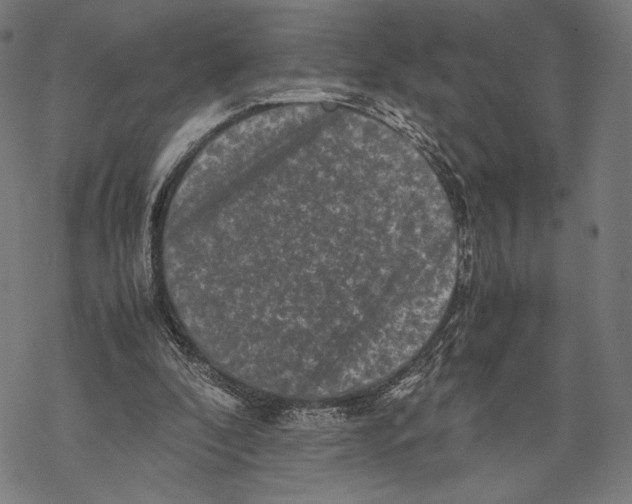 X0000067850296200605111715