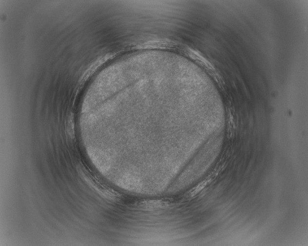 X0000067850298200605111715