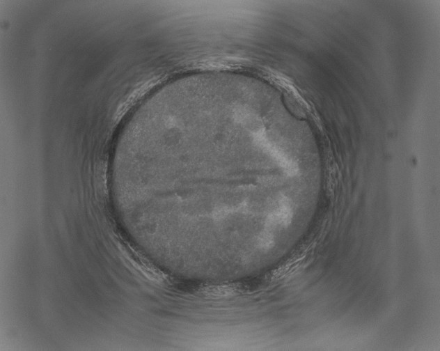 X0000067850299200605111715