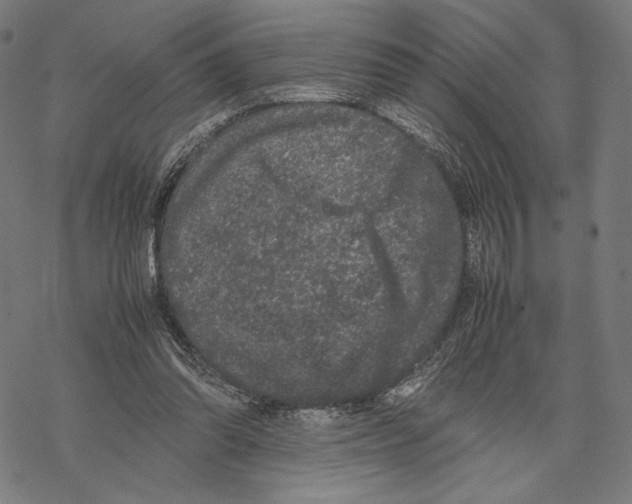 X0000067850302200605111715