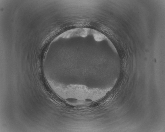 X0000067850303200605111715