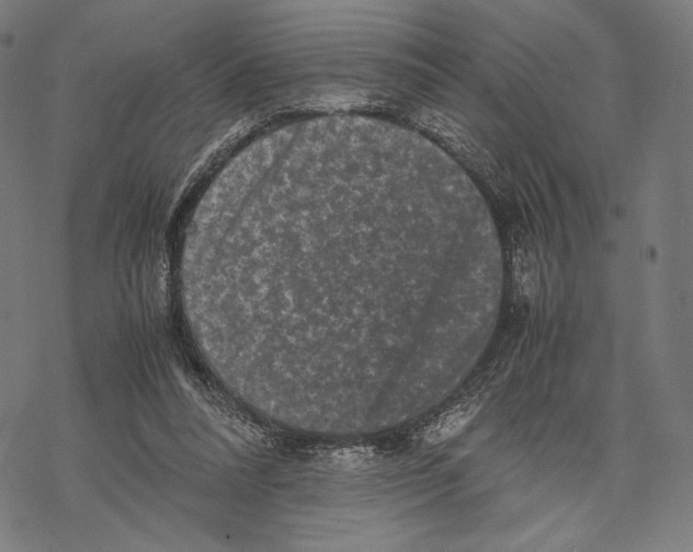 X0000067850304200605111715