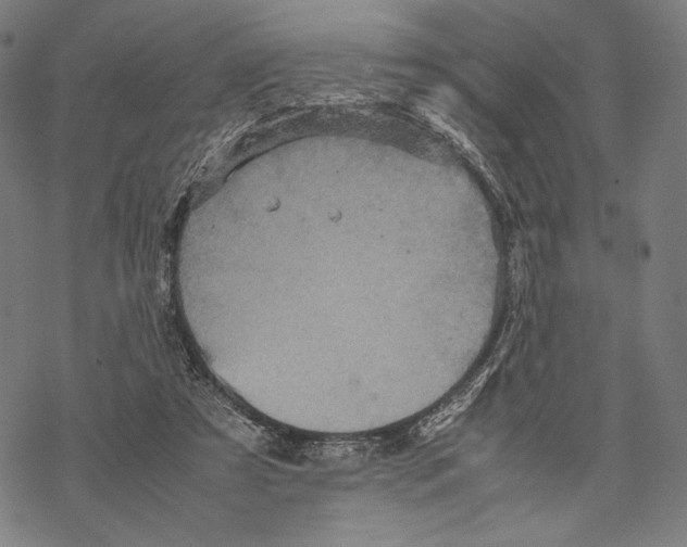 X0000067850305200605111715