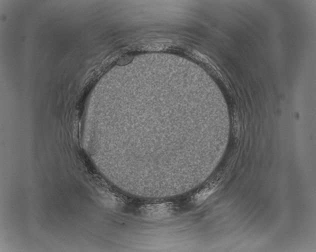 X0000067850307200605111715