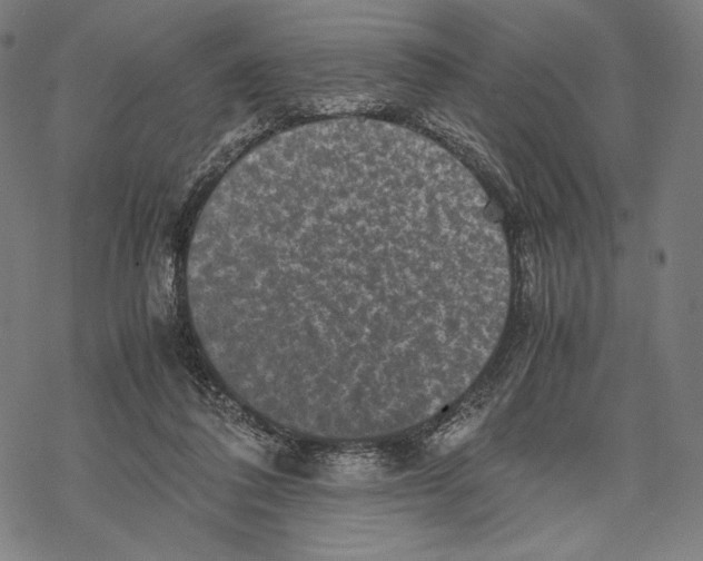 X0000067850308200605111715