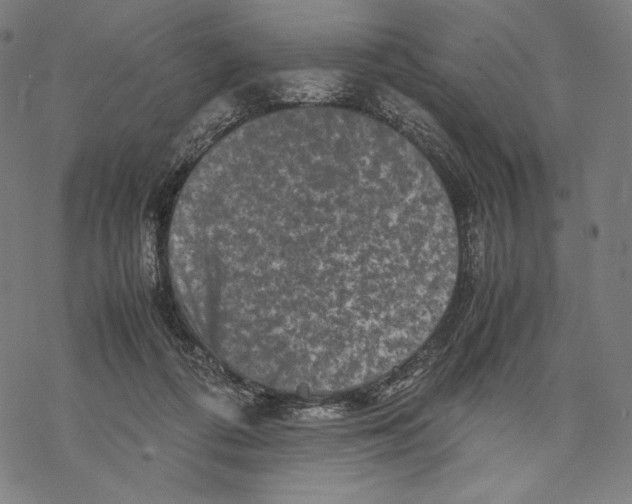 X0000067850312200605111715