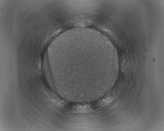 X0000067850314200605111715