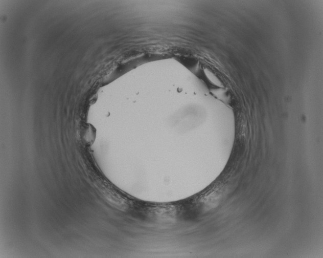 X0000067850317200605111715