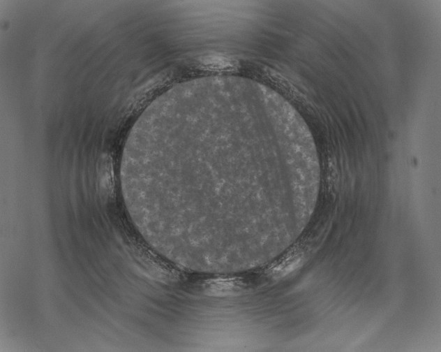 X0000067850320200605111715