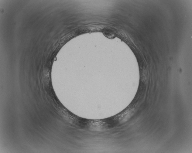 X0000067850321200605111715