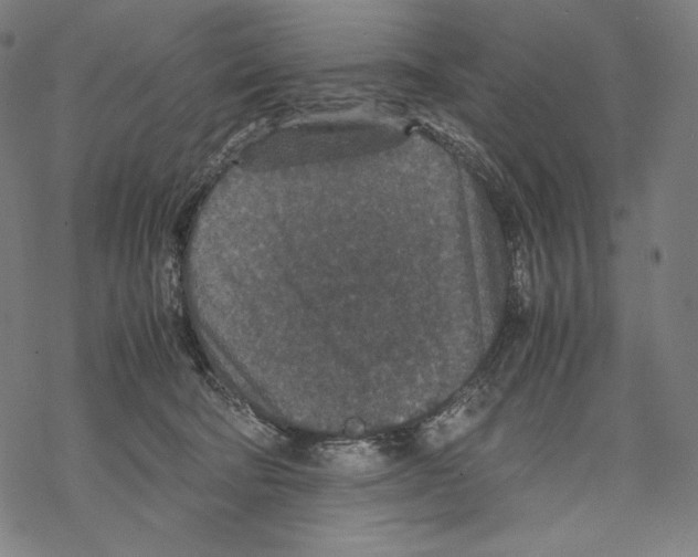 X0000067850322200605111715