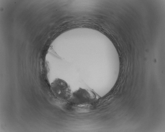 X0000067850323200605111714