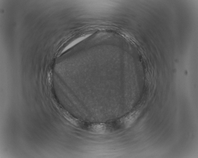 X0000067850325200605111714