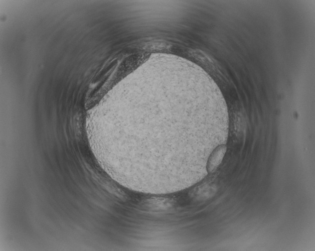 X0000067850326200605111714