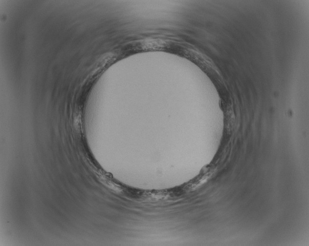 X0000067850329200605111714